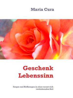 cover image of Geschenk Lebenssinn